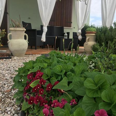 Appartamento Sofia Λατζίζε Εξωτερικό φωτογραφία